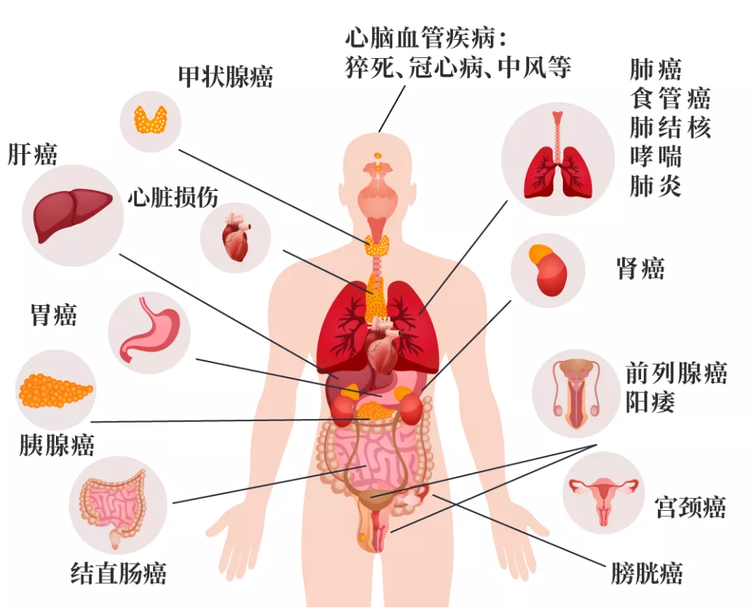 企业微信截图_04c2fc79-e53b-4b56-a289-4c52841d00c7.png